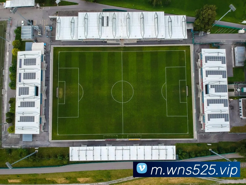 澳门威尼斯在线APP 封面图